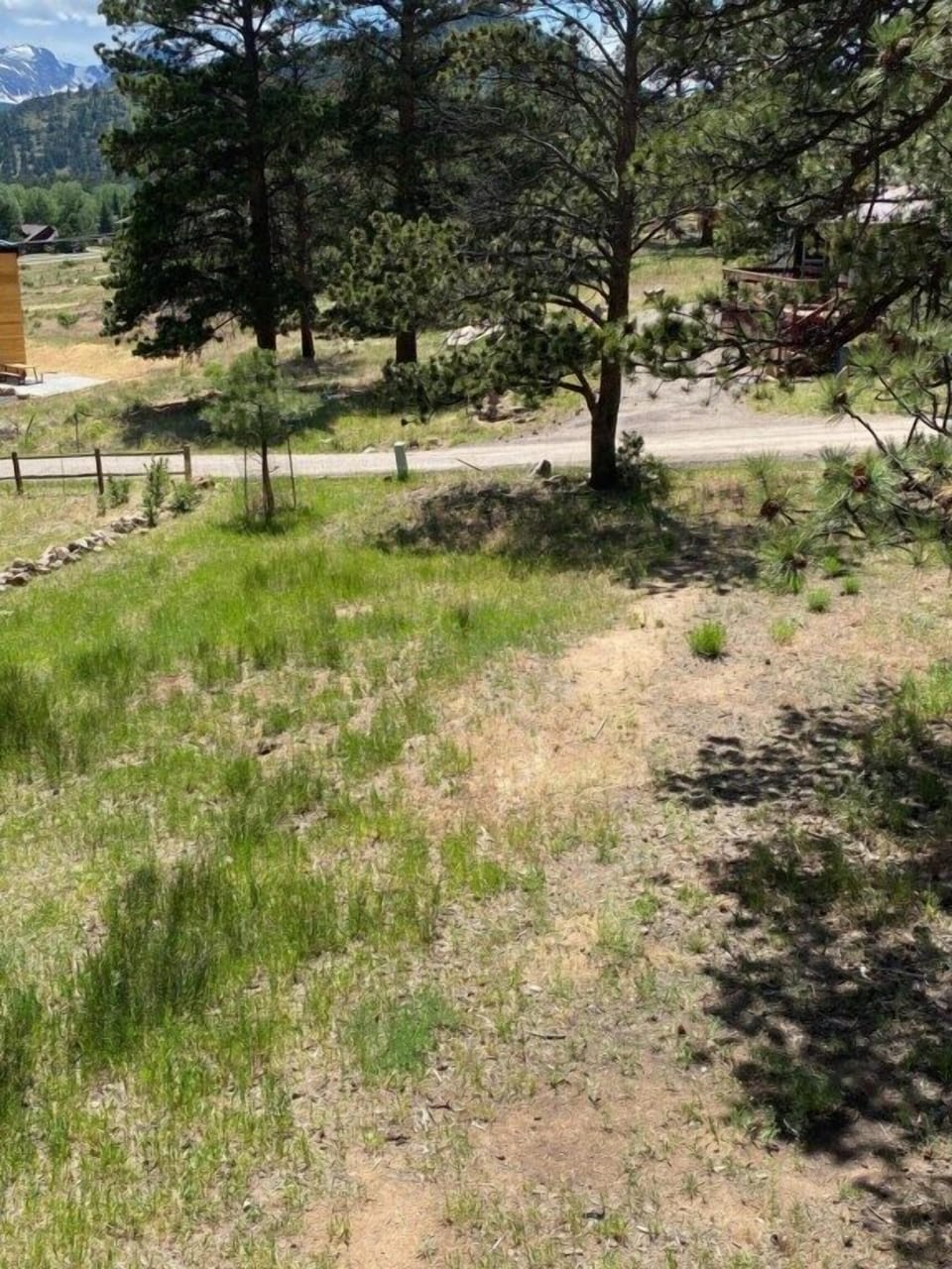 Front yard view from entrance 