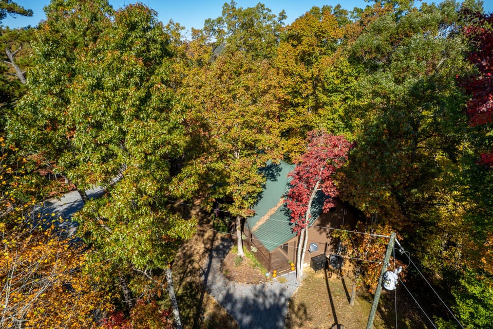 drone view of wooded lot in the fall