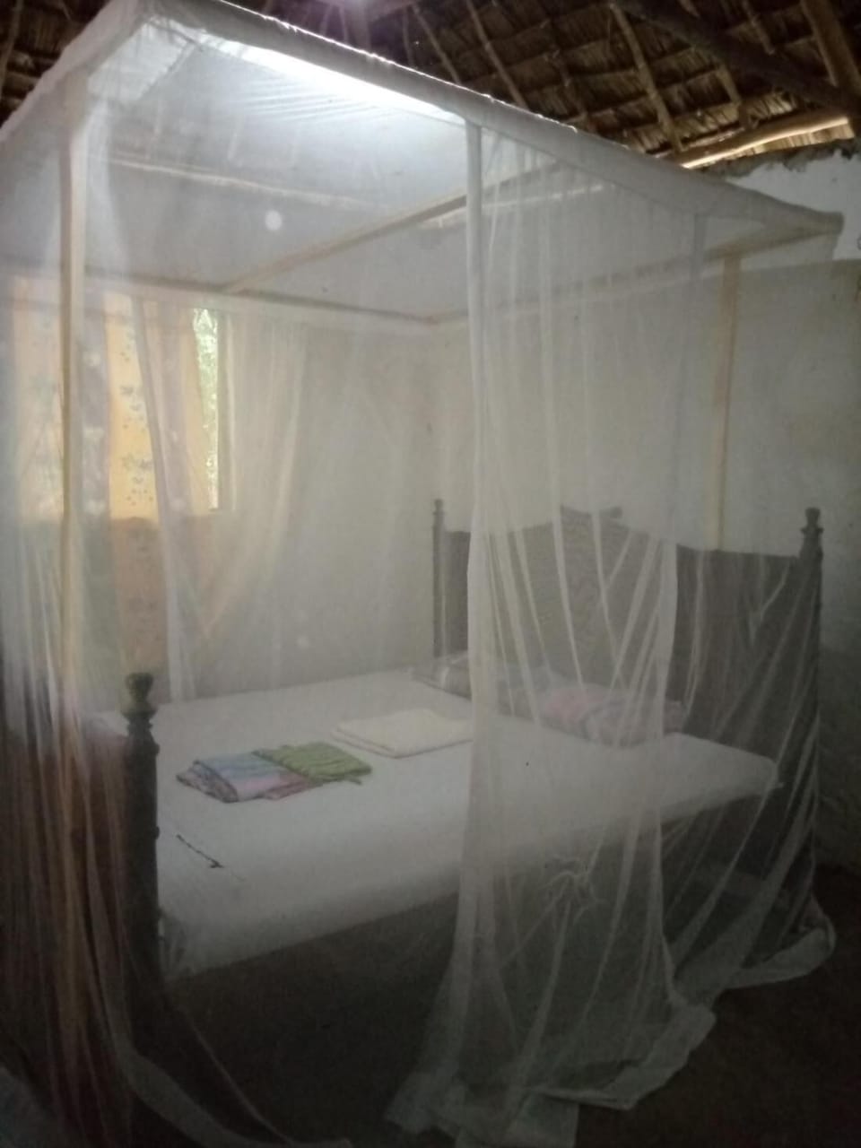 Shared Dormitory, 1 Bedroom, Balcony | 1 bedroom, WiFi