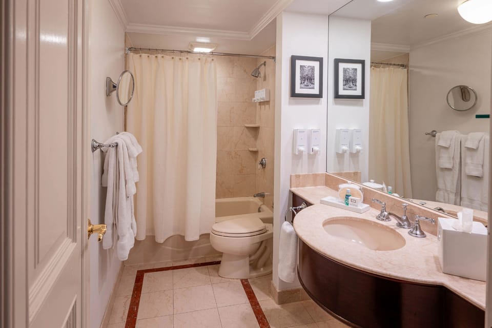 Executive Room, 1 King Bed, Fireplace | Bathroom | Combined shower/tub, designer toiletries, hair dryer, bathrobes