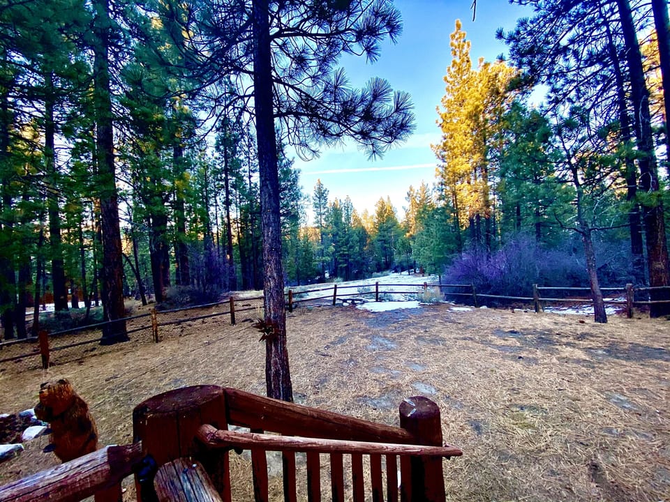 Backyard views fully fenced 
