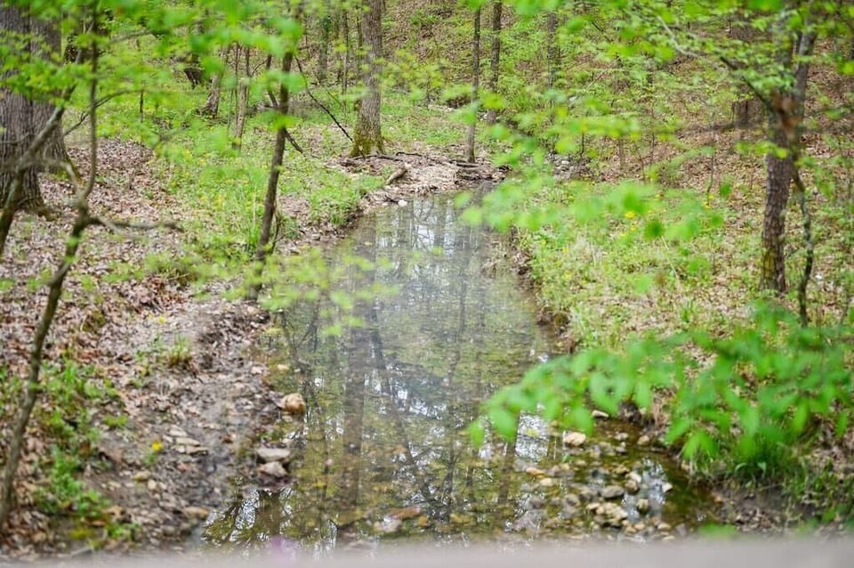 Creek
