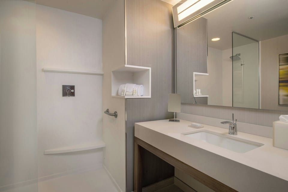 Combined shower/tub, hair dryer