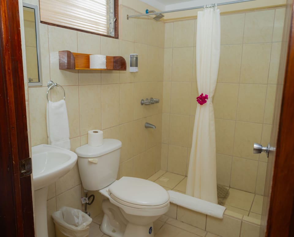Junior Room | Bathroom | Hair dryer, towels