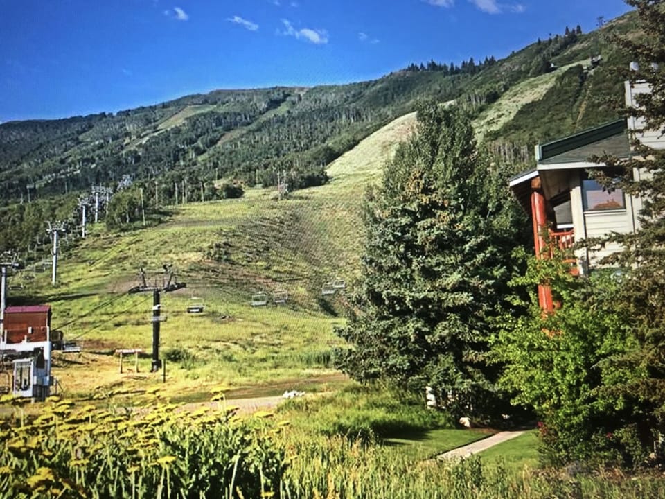 Our hillside, Park City Mountain, skiing, hiking and biking right out our door.