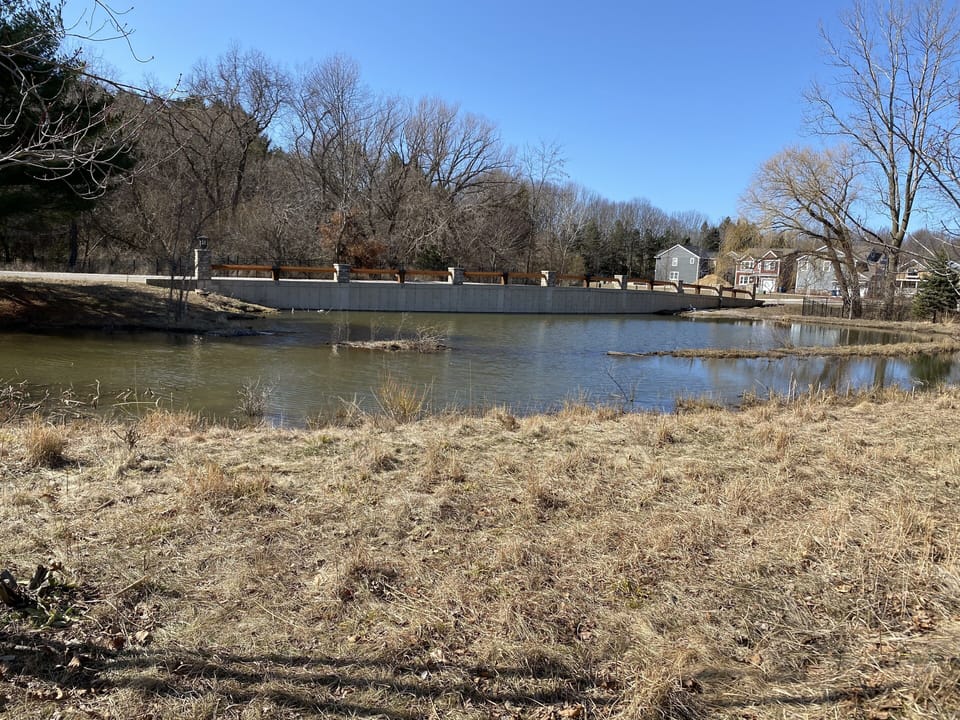 View of the pond from the back patio, very peaceful. 