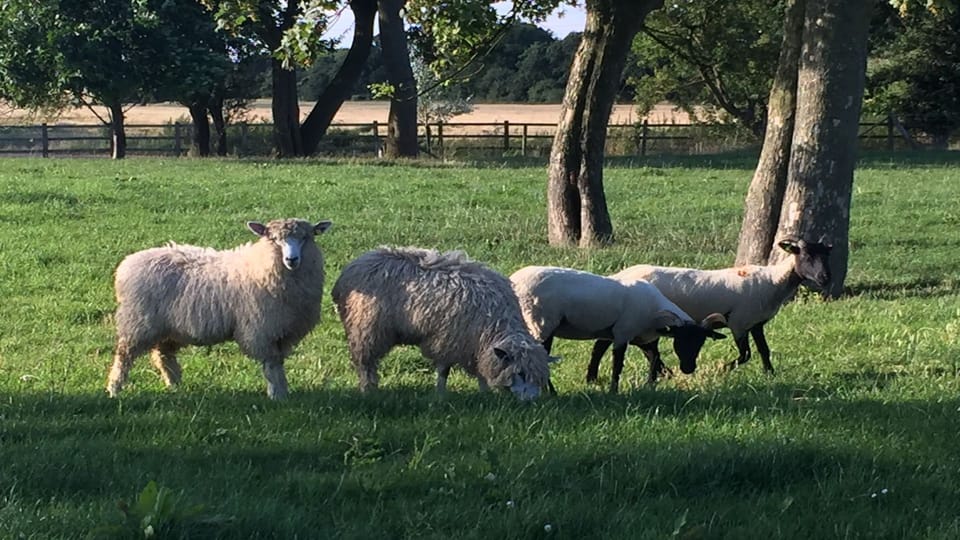 Enjoy the sights of being in the countryside