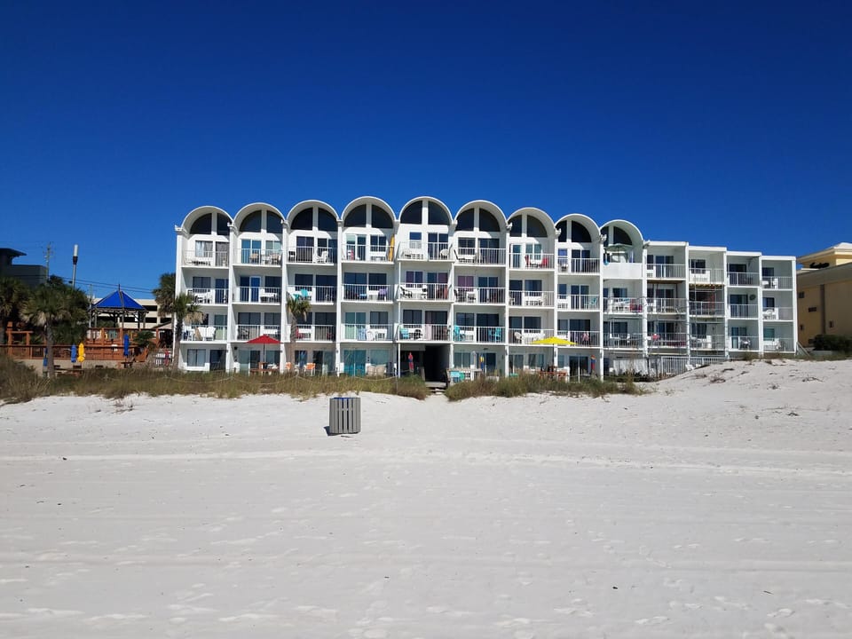 Ambassador from the beach.