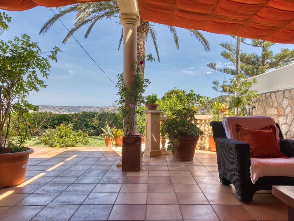 Plant, Sky, Flowerpot, Azure, Wood, Interior Design, Shade, Outdoor Furniture, Arecales, Leisure