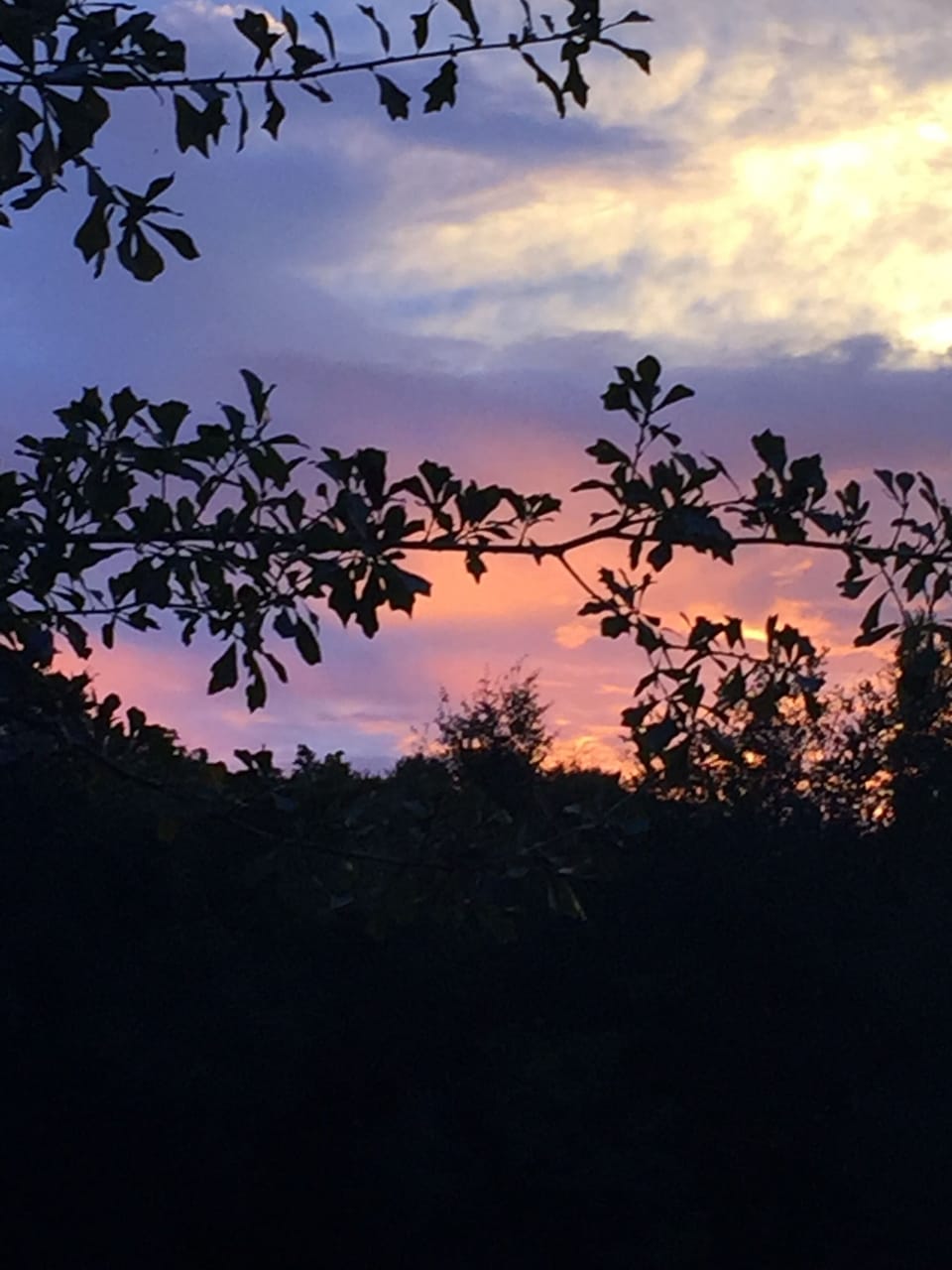 Quiet pond across street with beautiful sunsets.