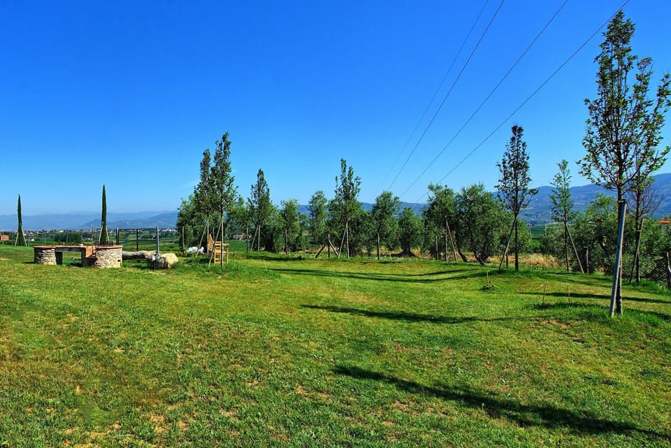 Garden, Scenic View