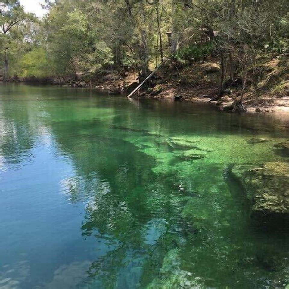 Lafayette Blue Springs State Park 
799 NW Blue Springs Rd
Mayo, FL 32066
4 mile
