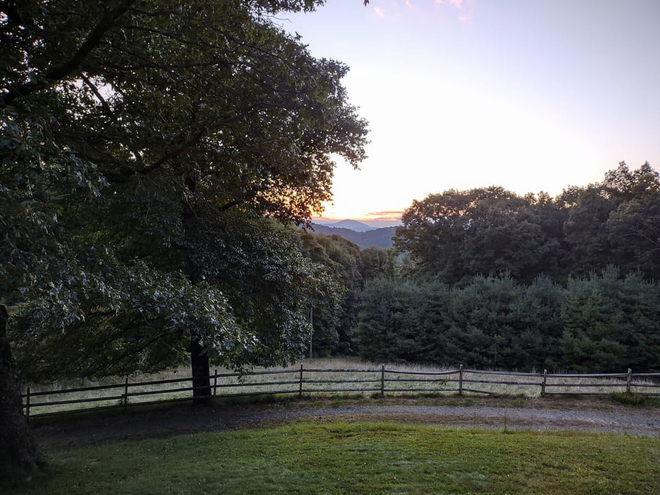 View from deck in summer.