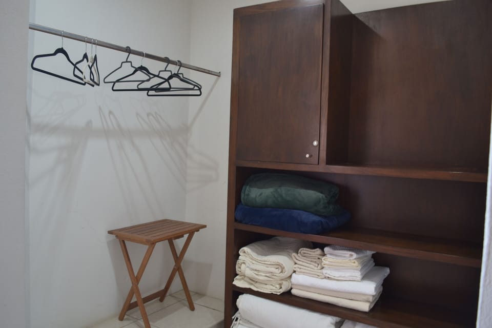 Master walk-in closet 1