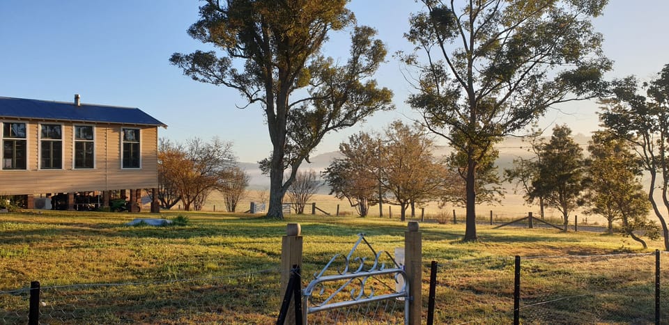 Looking across from the chicken yard.
