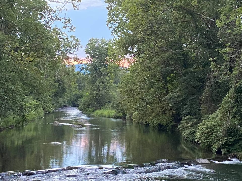The view upriver