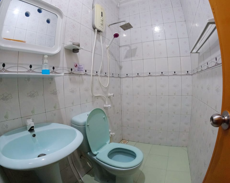 Deluxe Triple Room | Bathroom | Shower, hydromassage showerhead, free toiletries, hair dryer