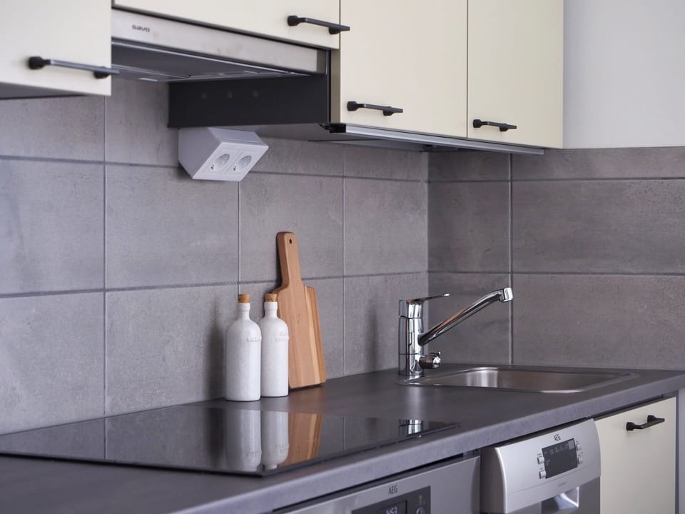 Classic Studio | Private kitchen | Full-size fridge, microwave, oven, stovetop