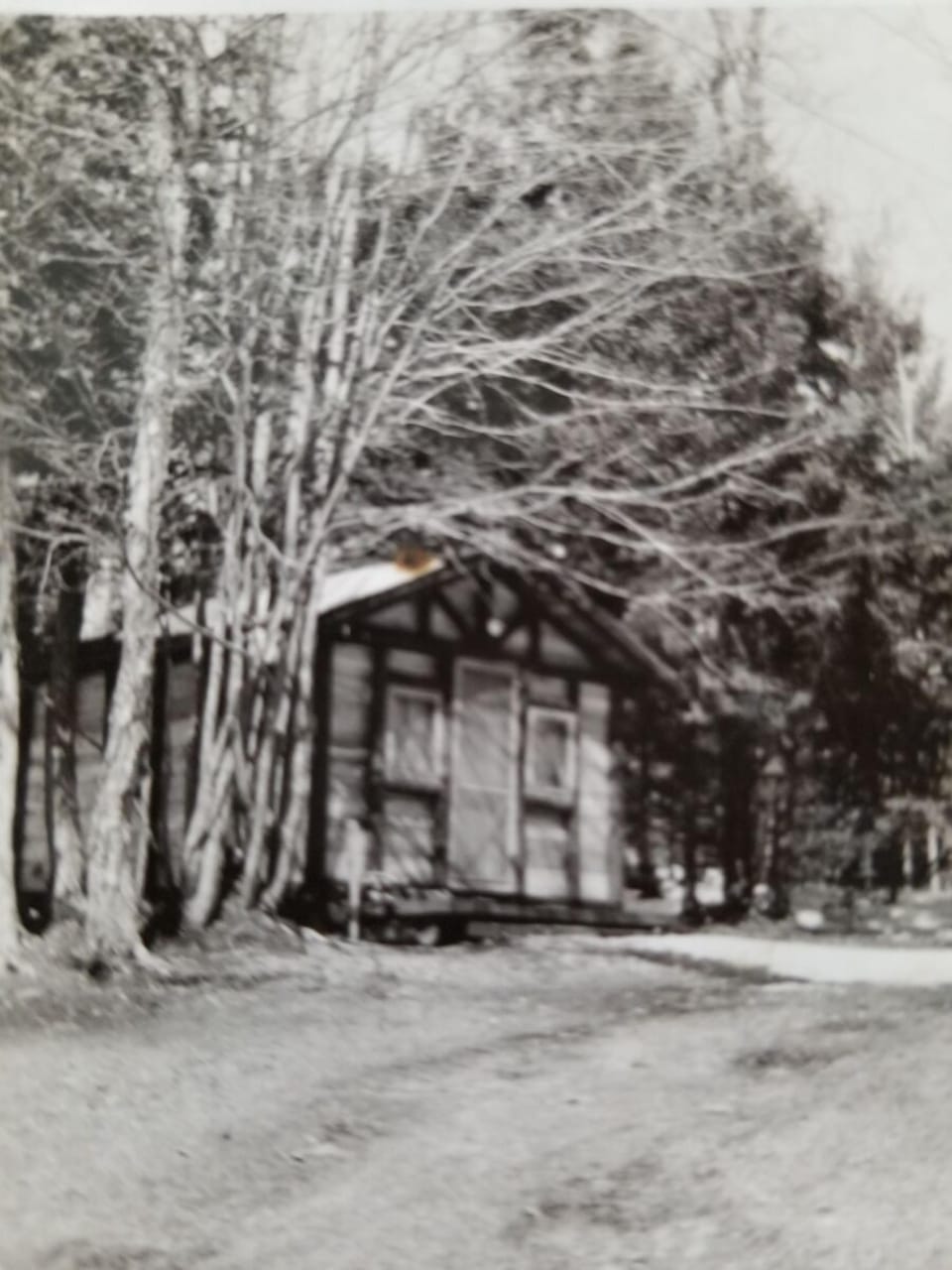Cabin History (2)