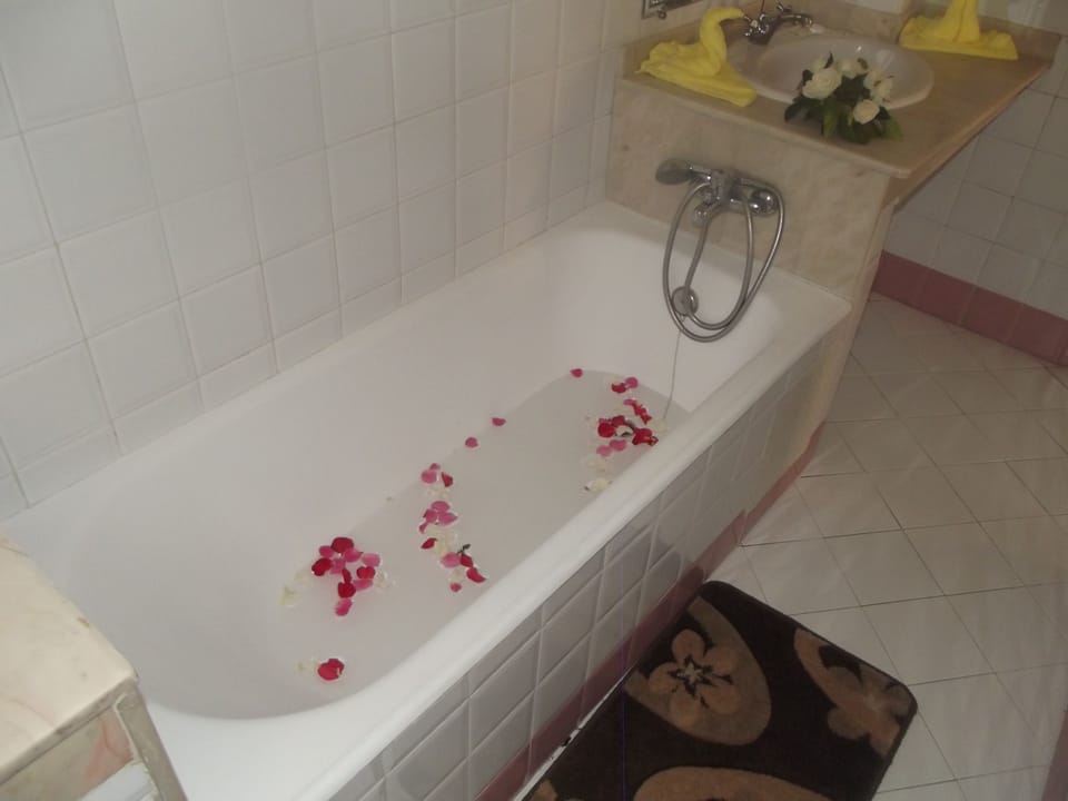 Bathtub, free toiletries, hair dryer, bidet