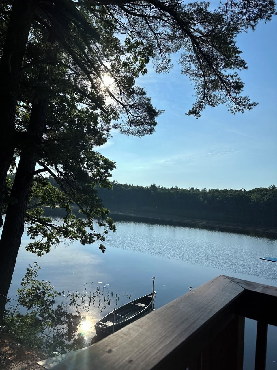 View from property