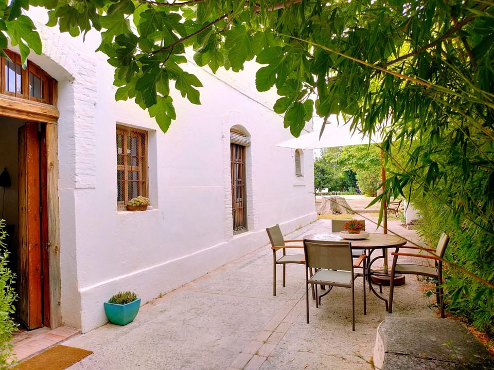 Terraza junto al bambú con la piscina al fondo