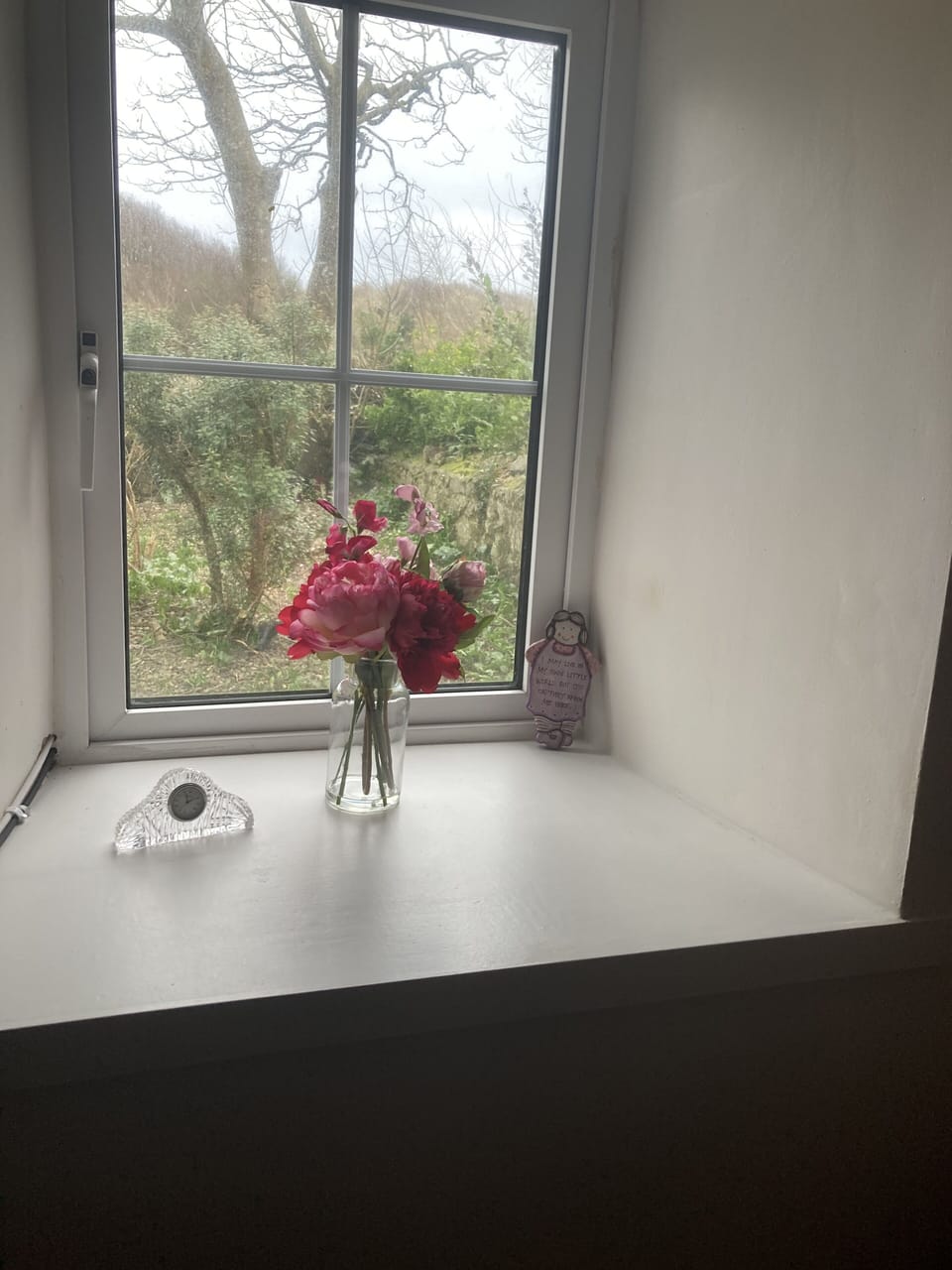 View out to sand dunes through sitting room window.