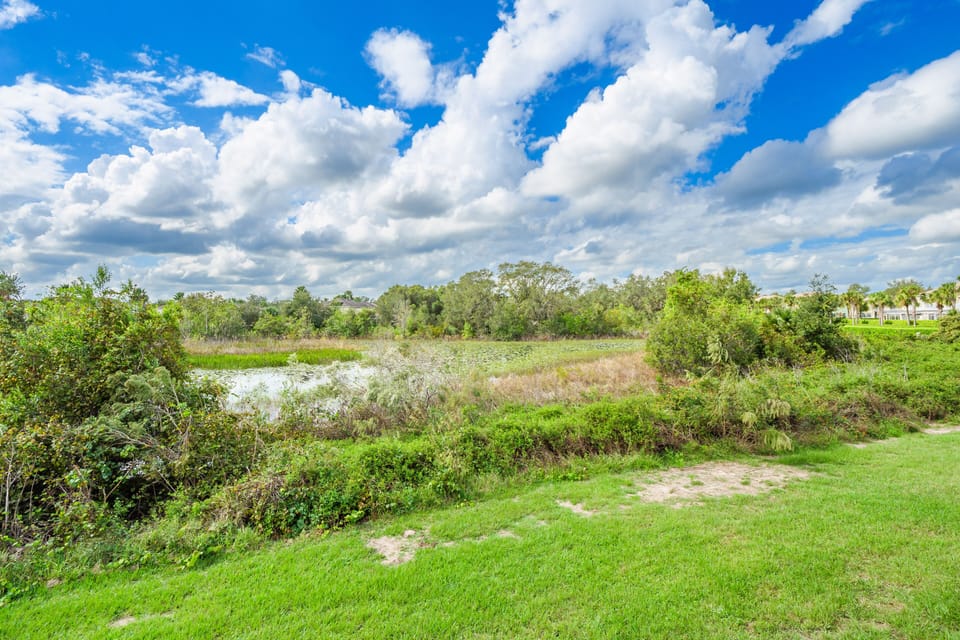 Conservation View