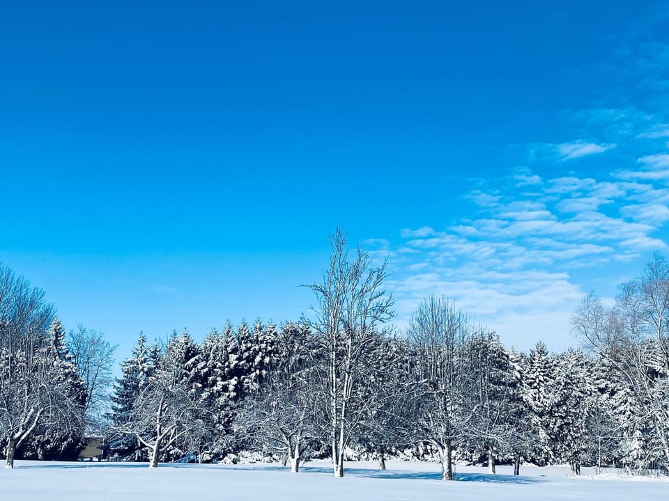 scenic winter view from dec to