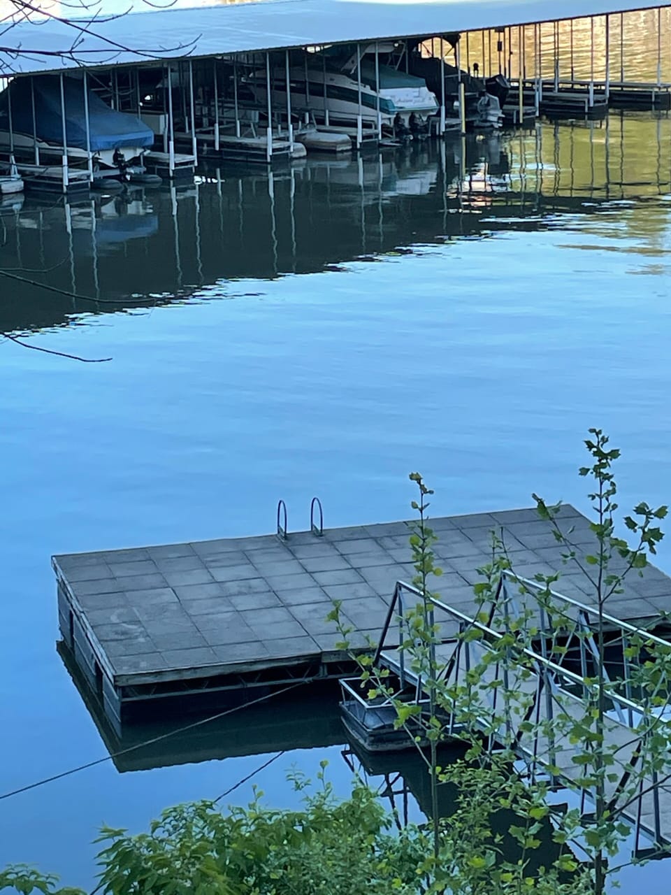 Swim Dock