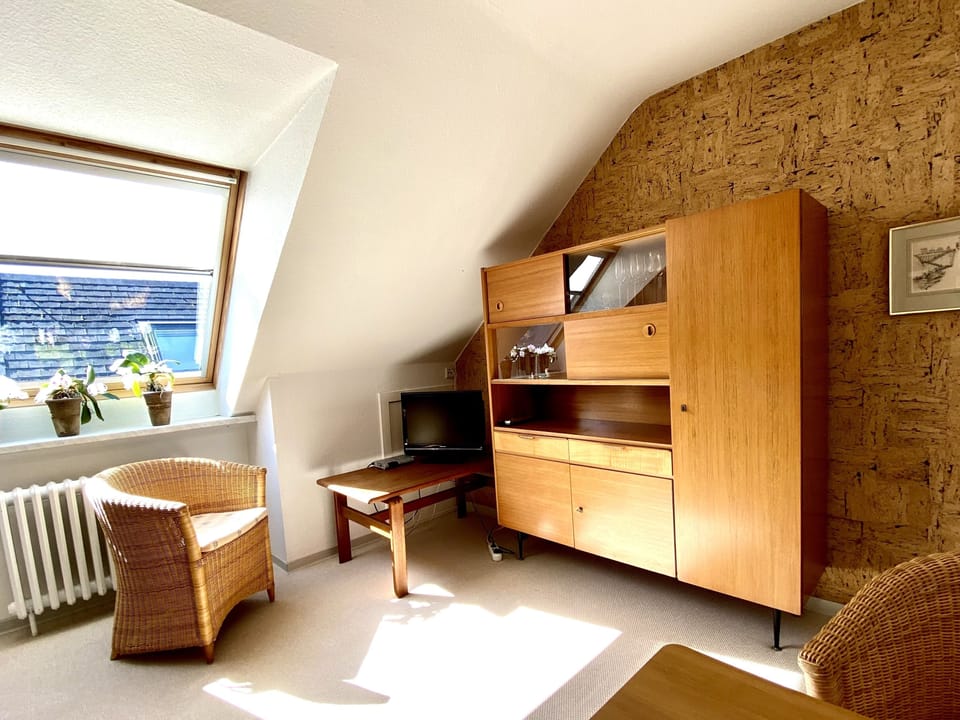 Apartment, 1 Bedroom | Living area | 22-inch TV with satellite channels