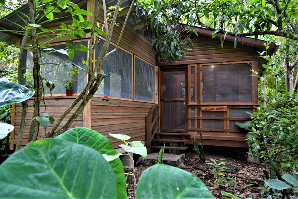 Cabin, 2 Bedrooms, Smoking, Balcony | Exterior
