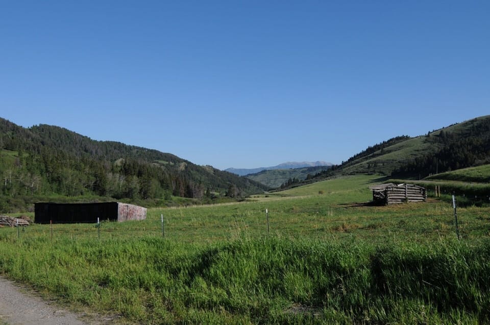 View of Bridger Range from the driveway