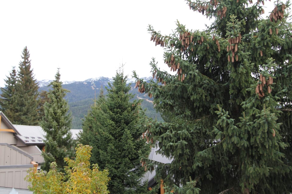 View from the deck