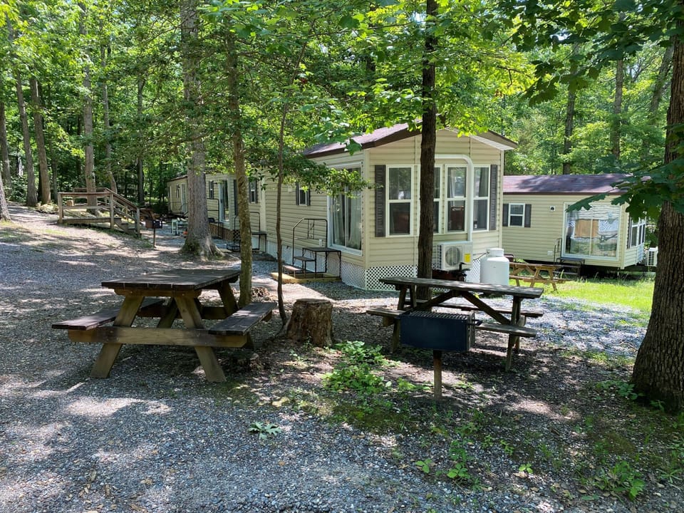 BBQ/picnic area