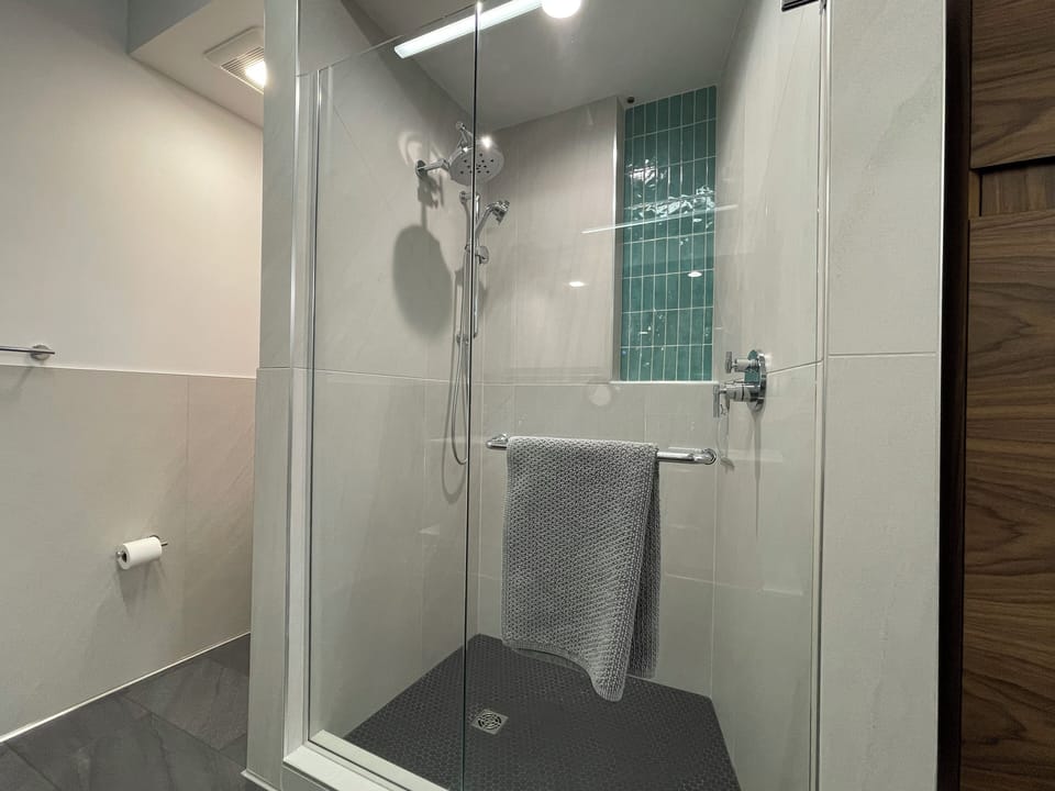Luxurious shower, toilet nook.