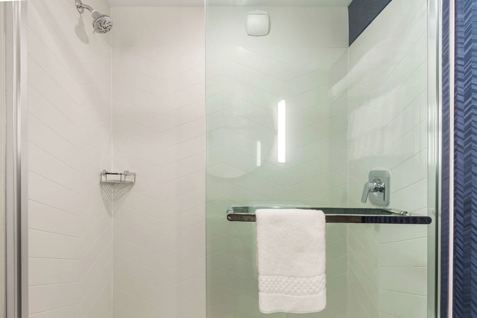 Hair dryer, soap, shampoo, toilet paper