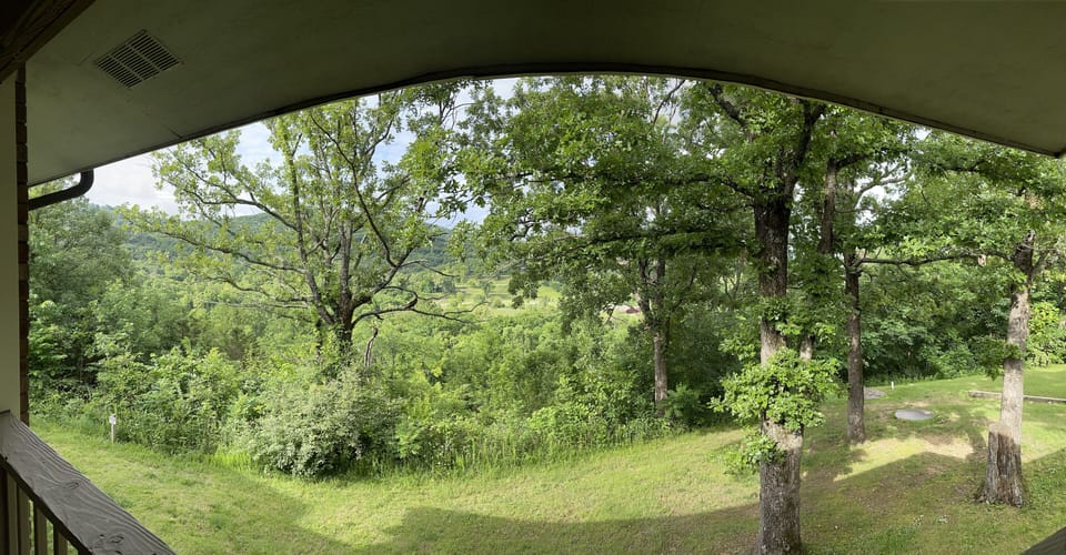 View from back porch in summer