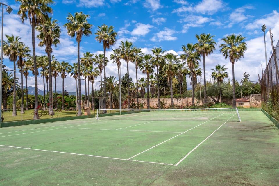 Sport court