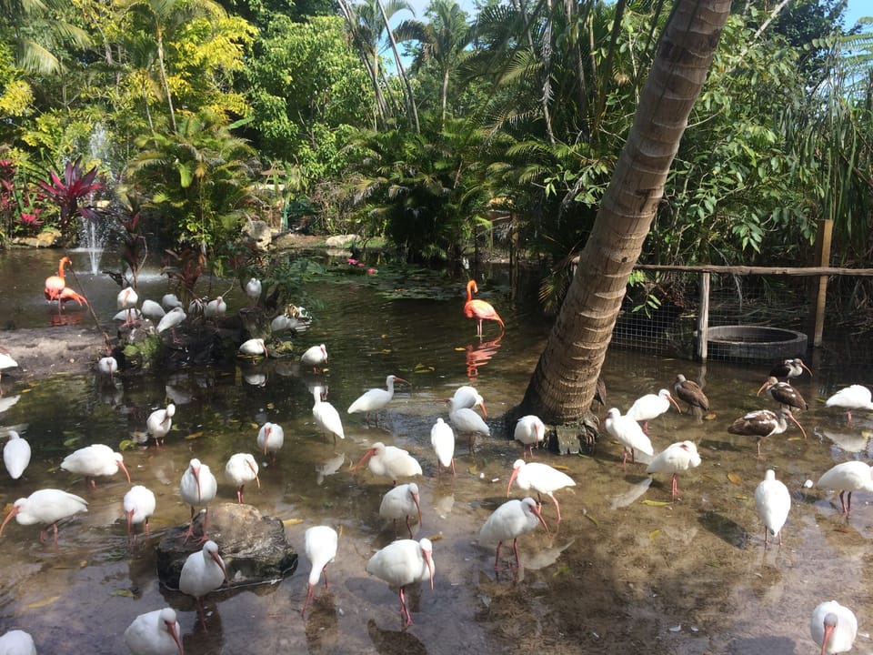 Everglades Wonder Garden