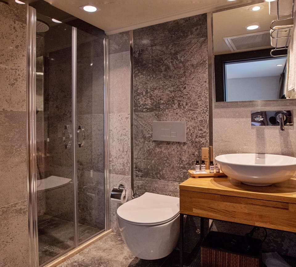 Standard Twin Room, 2 Twin Beds, 17m2 | Bathroom | Shower, rainfall showerhead, designer toiletries, hair dryer