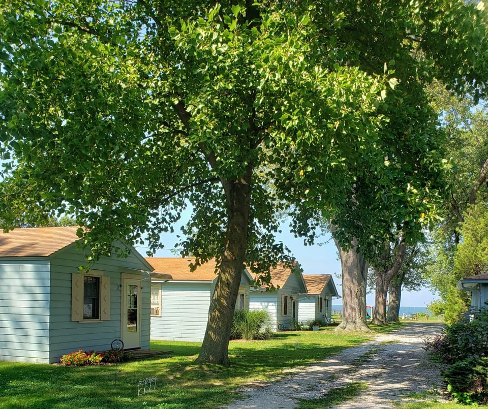 Cottages on tree lined drive with Lake Erie in the background-photo facing North