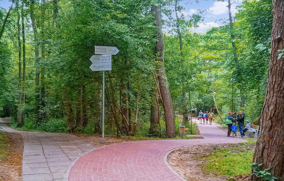area