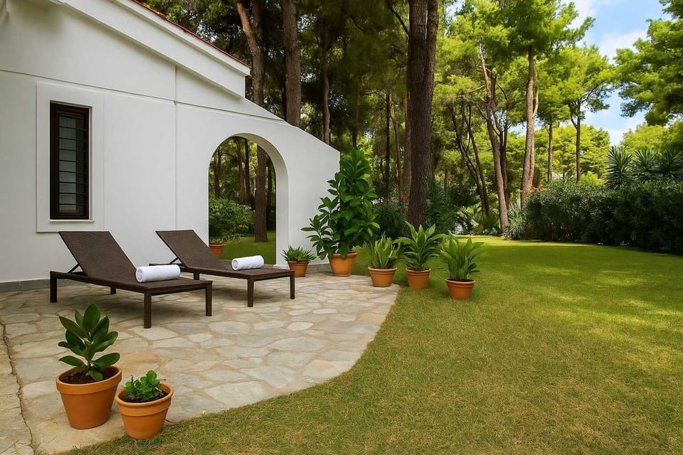 Garden Sunbathing Spot – Private and Peaceful
Perfect for soaking up the sun in the privacy of your own yard.