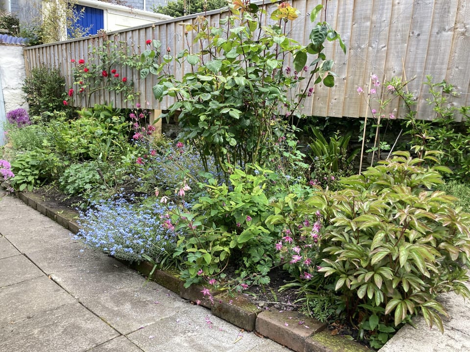 spring in the garden