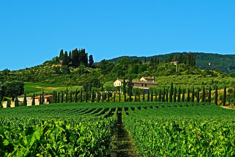 Scenic View