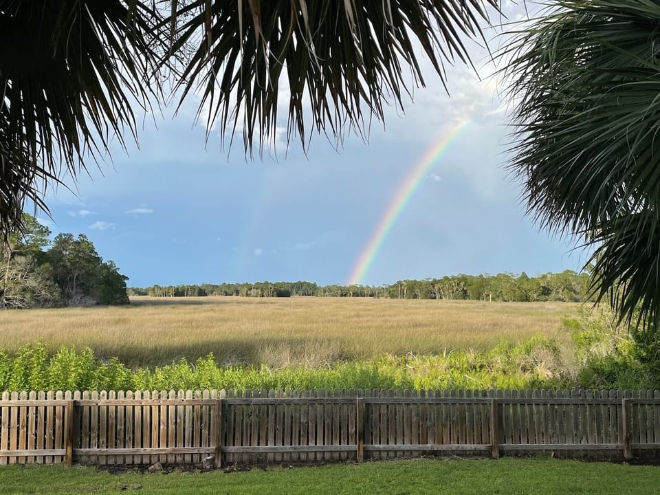 Backyard view