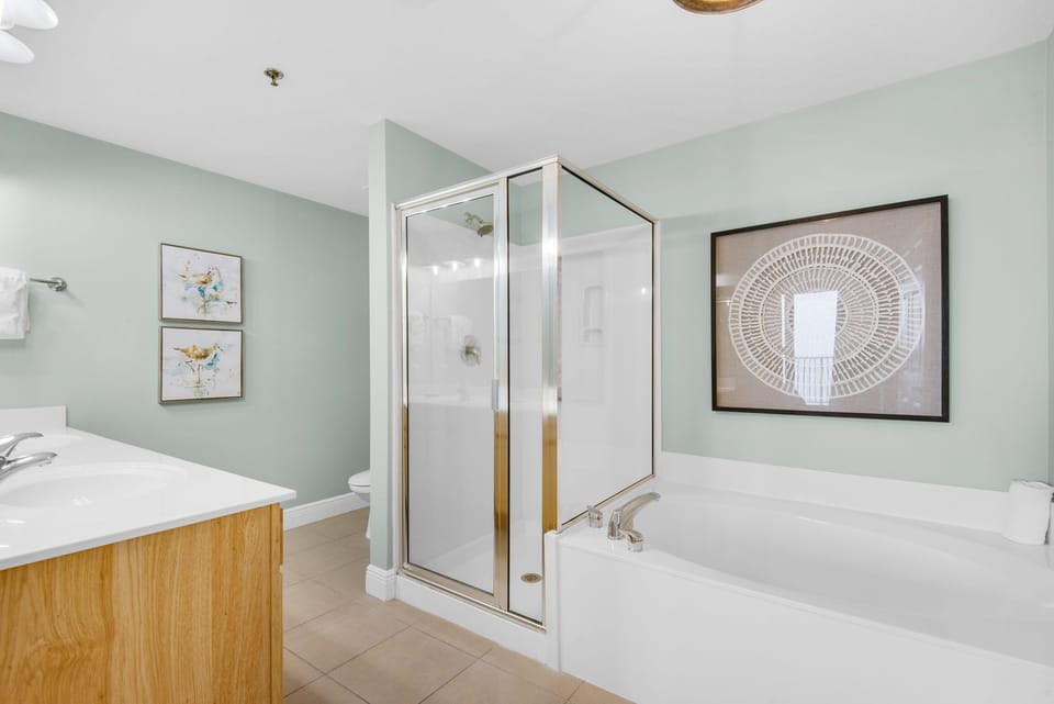 Master shower and tub