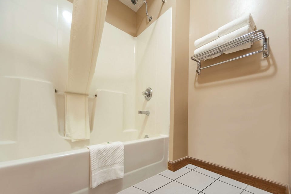 Combined shower/tub, hair dryer, towels