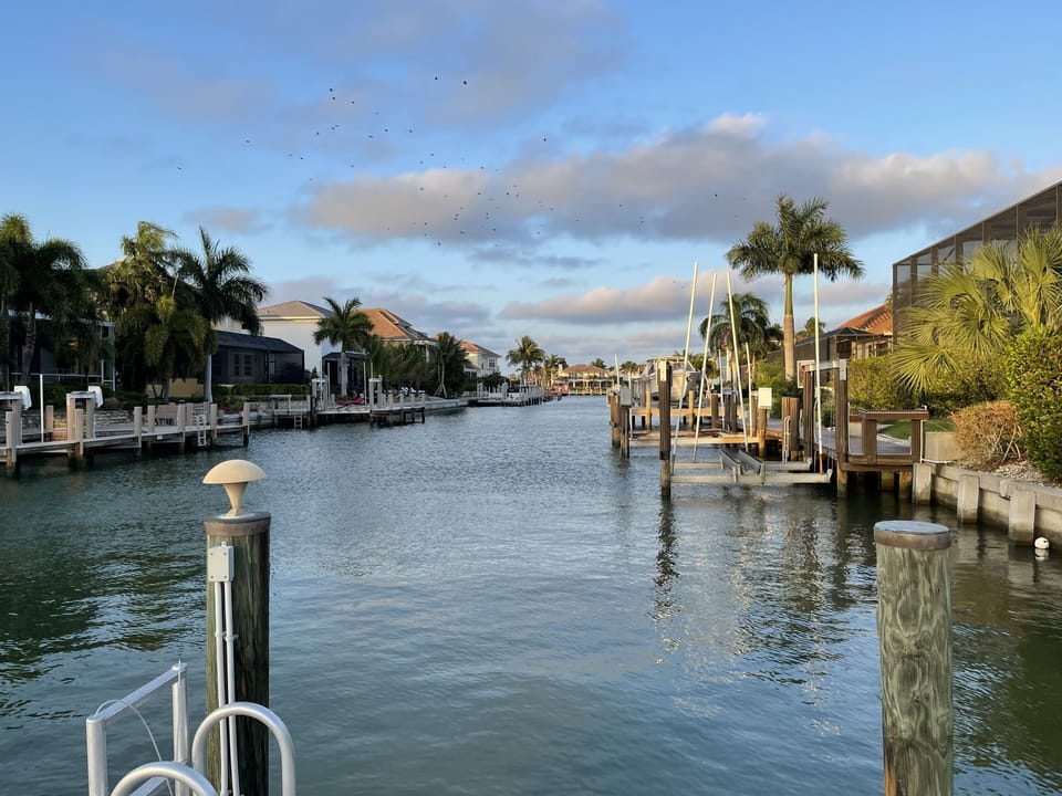 Canal view from dock - dolphins, sea birds and manatee sightings!